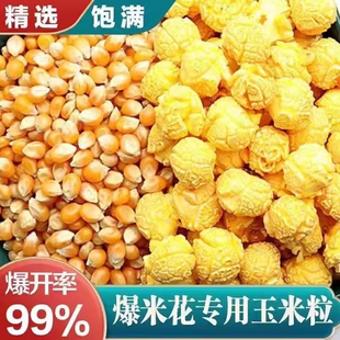专用爆米花玉米粒爆裂小玉米爆米花原料家用批发爆裂玉米粒批发