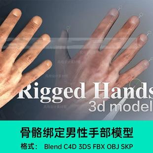 SKP 男性人物手掌绑定骨骼真实皮肤C4D模型MAX FBX OBJ Blend素材