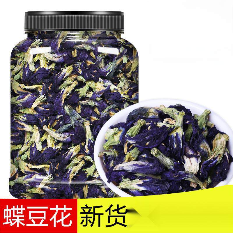 蓝蝴蝶花蝶豆花罐装蓝蝴蝶兰碟花蓝蝶花紫蝴蝶新鲜自然人工采摘