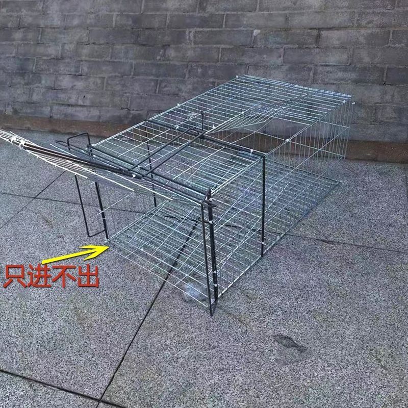 设计款家用养殖户外天落笼大号捕猫笼鸽子笼镀锌防锈抓猫笼