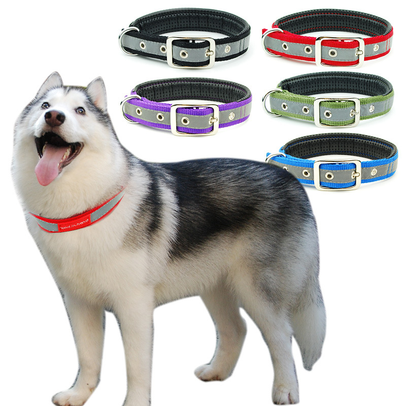宠物反光皮带扣项圈双层尼龙泡棉颈圈脖圈中大型狗用跨境