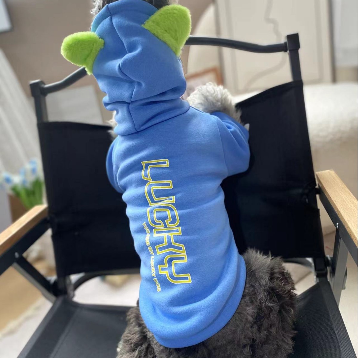 狗狗衣服秋冬雪纳瑞比熊泰迪中小型犬猫咪加绒保暖连帽卫衣