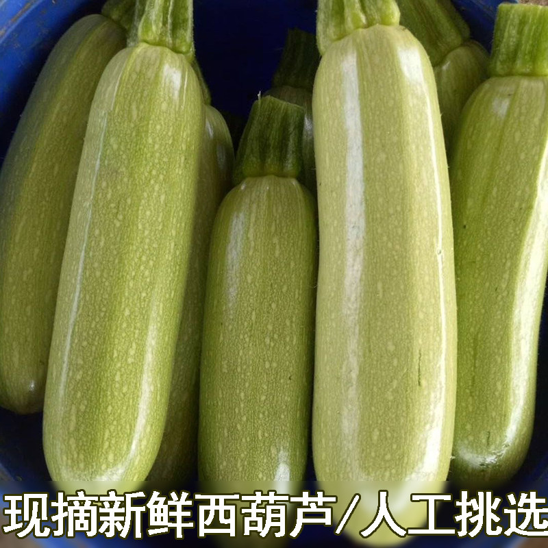 露天农家西葫芦新鲜西葫芦三月瓜嫩茭瓜番瓜小瓜菜瓜荨瓜熏瓜精选,水产肉类/新鲜蔬果/熟食,其它,淘宝优惠券,粉丝福利购,淘宝优惠卷