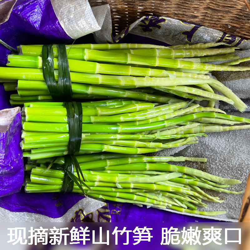 现挖小鲜笋一年只吃一季的新鲜春笋竹笋嫩笋尖农村小山笋脆嫩爽口