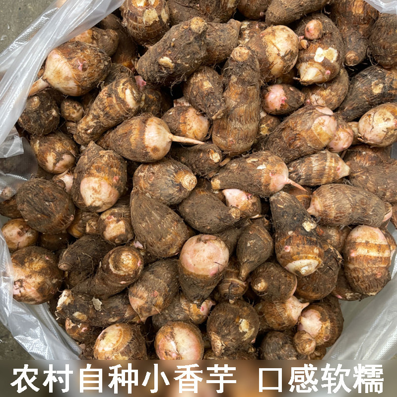 精选高山芋头现挖新鲜毛芋头软糯香滑农家种植小香芋人工挑选包邮