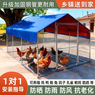 室外养鸡棚家禽养殖大棚庭院家用屋顶防雨窝棚新款养殖笼棚架鸽舍