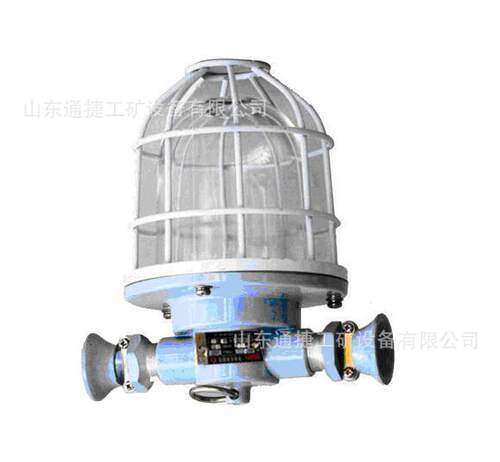 DGS-60/127B(T)系列矿用隔爆型白炽灯 矿用白炽灯