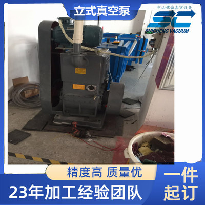 11KW滑阀真空泵 新能源厂抽真空 使用寿命长 穗诚真空
