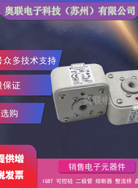 170M6464 170M6465 170M6466 170M6467现货巴斯曼熔断器