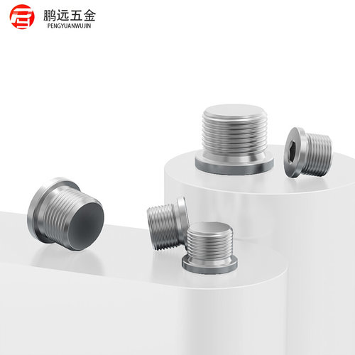 。DIN908/304不锈钢内六角带边法兰堵头油塞螺塞丝堵M8*1*2分4分6
