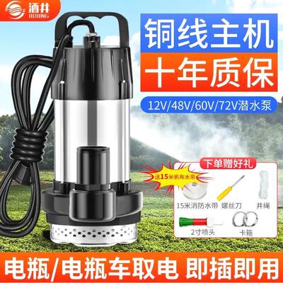 德国进口电瓶车专用直流潜水泵12V48V60V72V农用灌溉浇地大流量抽