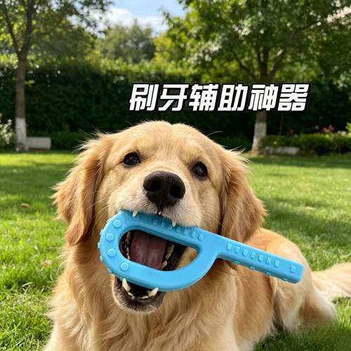 狗狗专用P胶刷牙辅助磨牙洁齿