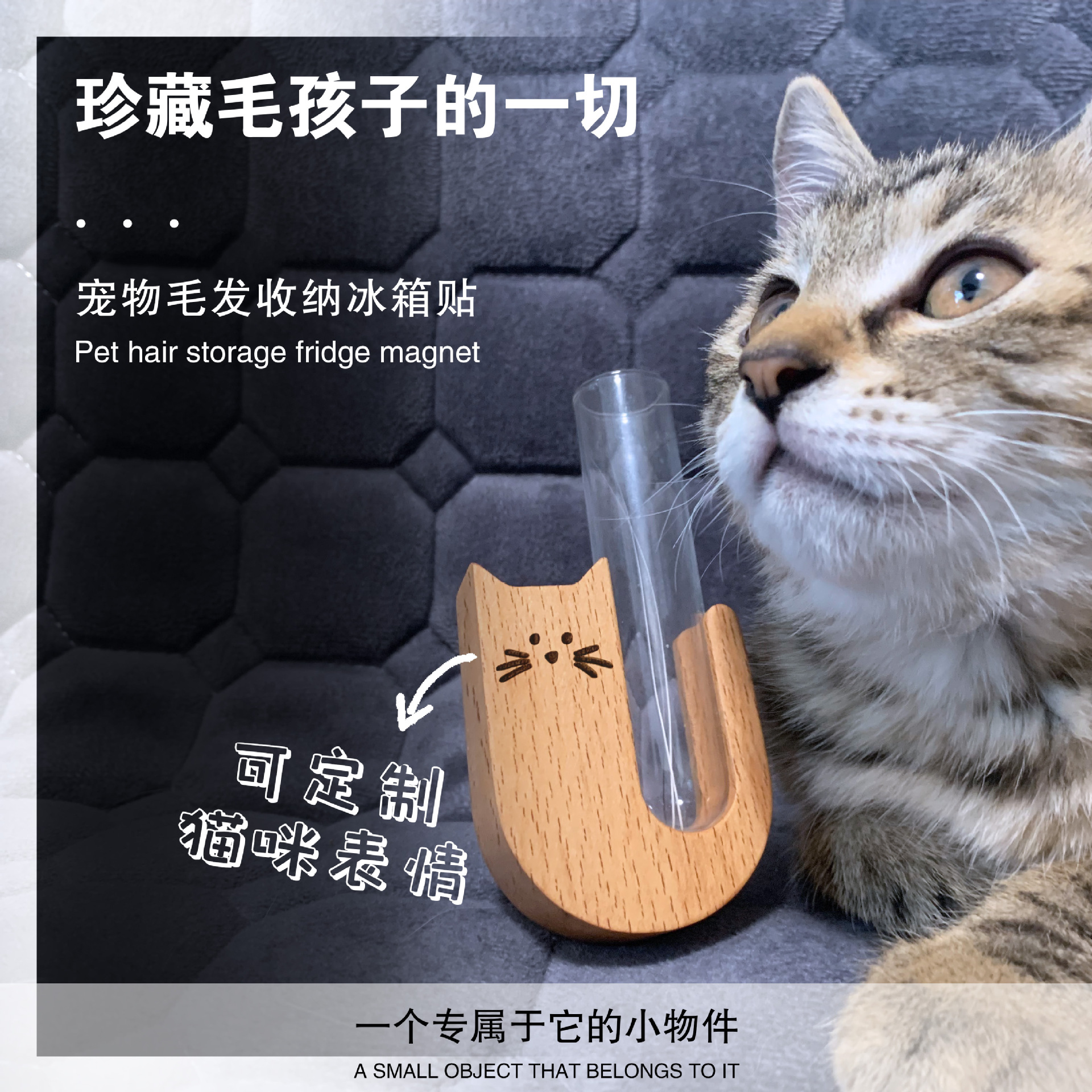 猫胡子收集瓶实木盒宠物狗毛发