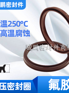 液压油缸油封耐高温氟胶轴用防尘密封圈LBH22*30/22.4*30.4*4.5/6