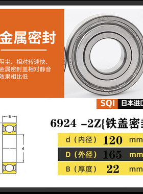 日本进口轴承 6916 6917 6918 6919 6920 6921 6922 6924Z ZZ RS
