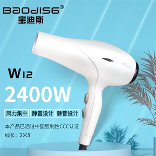 风霸保迪斯宝迪斯W12电吹风机家用大功率冷热风理发店发廊发型师