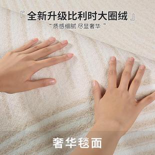 轻奢高级沙发地垫卧室家用床边免洗可擦简约加厚 地毯客厅2024新款