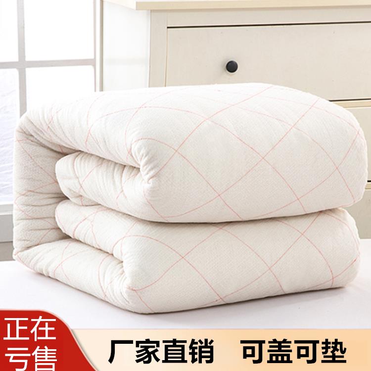 棉被棉絮学生宿舍床垫被单人被子春秋被芯加厚双人冬被保暖被褥子