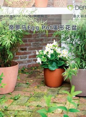 青野园艺家deroma帝罗马红陶花盆陶土盆北欧多肉盆栽红陶土罐花器