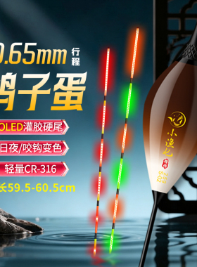 316鸽子蛋LED硬尾电子漂0.65金刚尾日夜两用咬钩变色高灵敏夜光漂