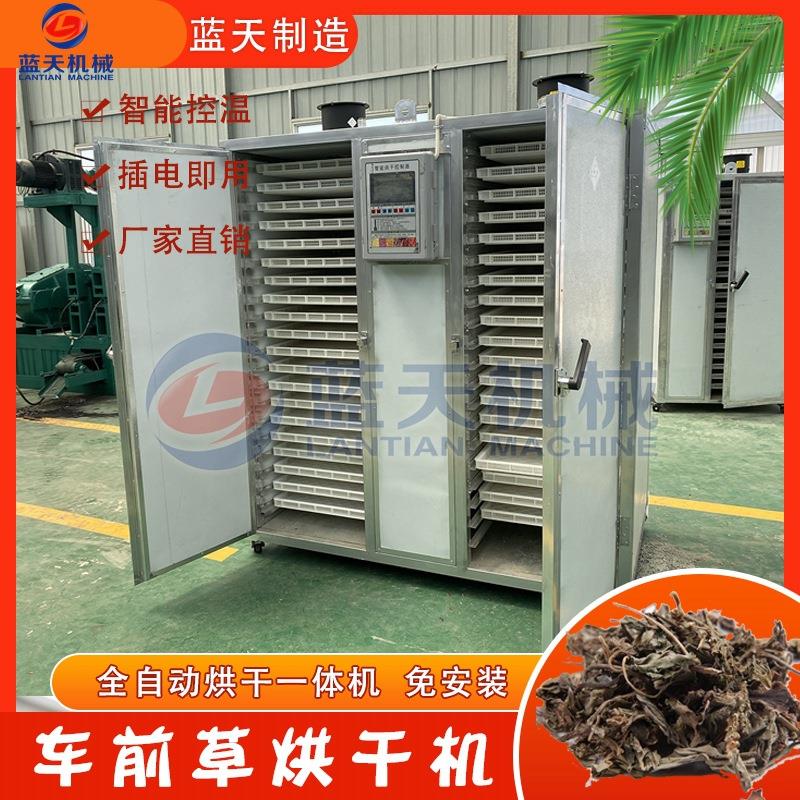 车前草烘干机智能小型车轱辘菜平车前烘干机车茶草烘干设备