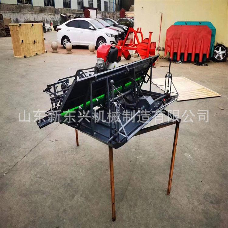 盘稻秧AUC育秧水稻育苗盘插秧机秧盘硬盘7寸9寸水苗盘