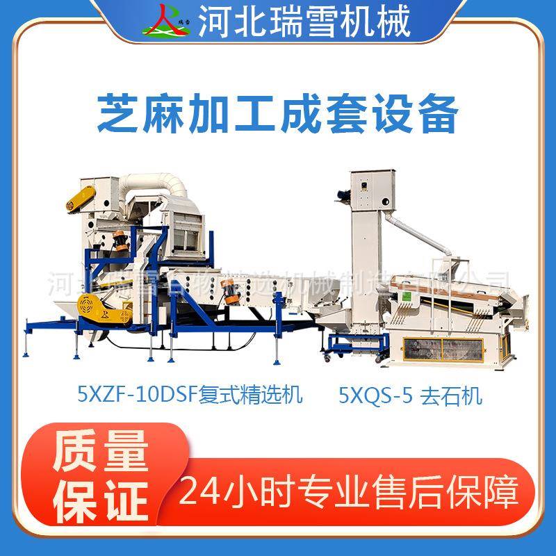 大型芝麻加工成套设备复式精选去石6t/h