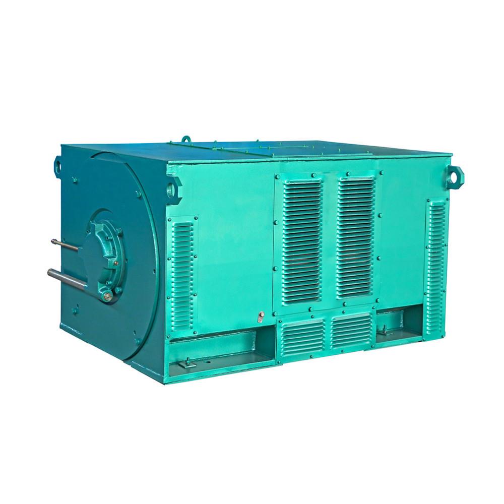 西安电机YX6302-6极2000W6V高压鼠笼型交流三相异步电动机