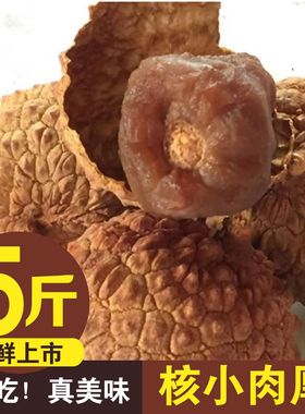 福建荔枝干新货批发肉厚鲜嫩莆田特产干荔枝肉肉多核小特产荔枝干