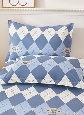 定制枕套48x74cm儿童30x50纯棉全棉40×60cm单个枕头套罩2025新款