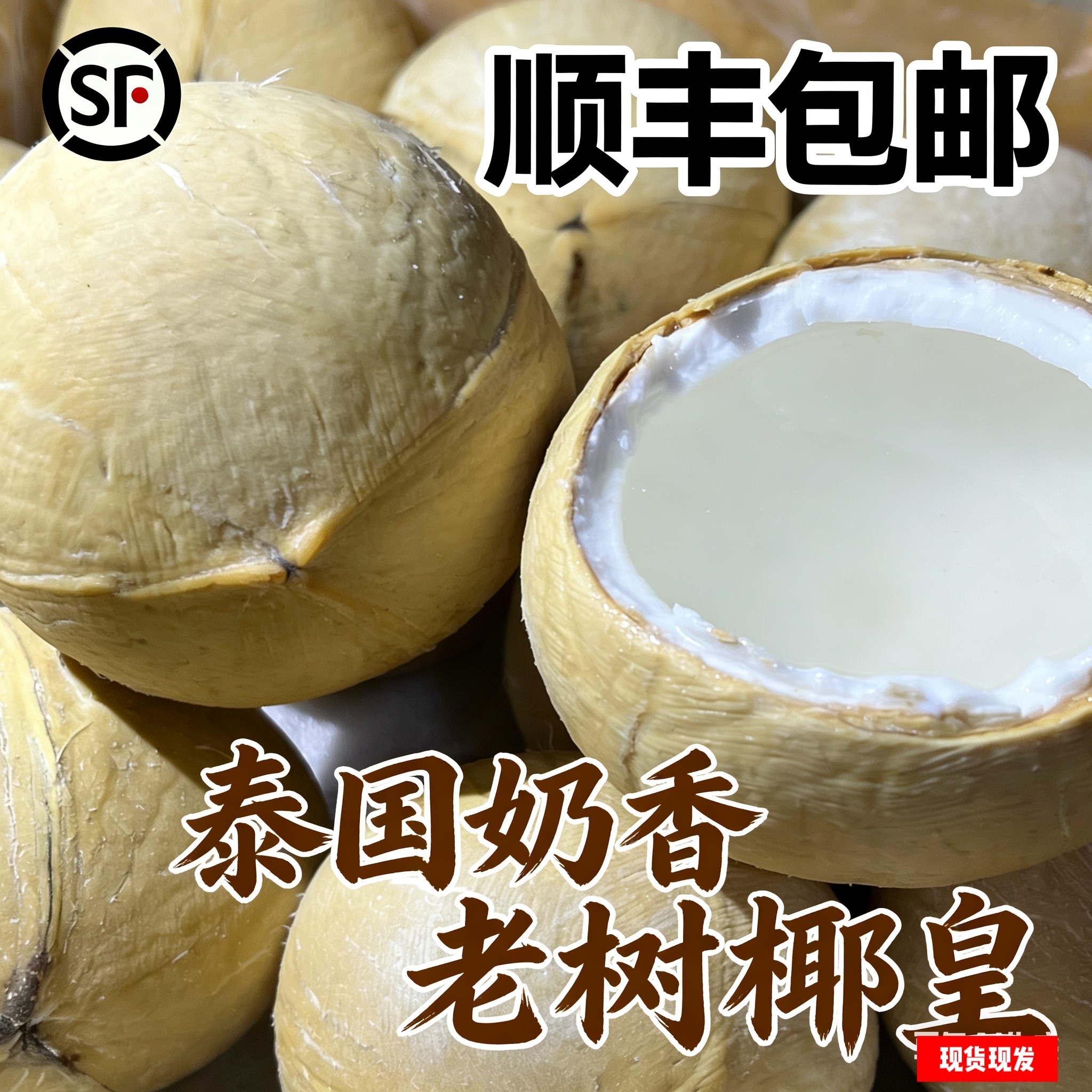 &nbsp;泰国老树奶香椰皇 新鲜椰青椰肉香甜多汁当季水果顺丰包邮