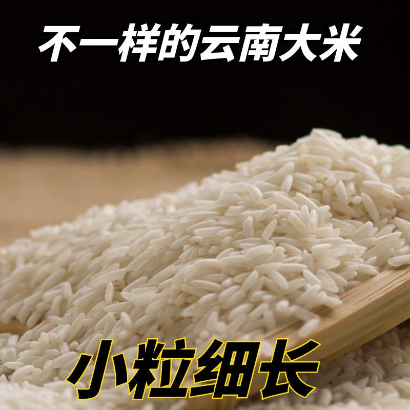 云南大米德宏特产傣纯软米