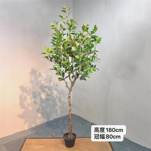 高仿真球形月桂树盆栽室内家居桂花树摆件假绿植盆栽造景拍摄道具