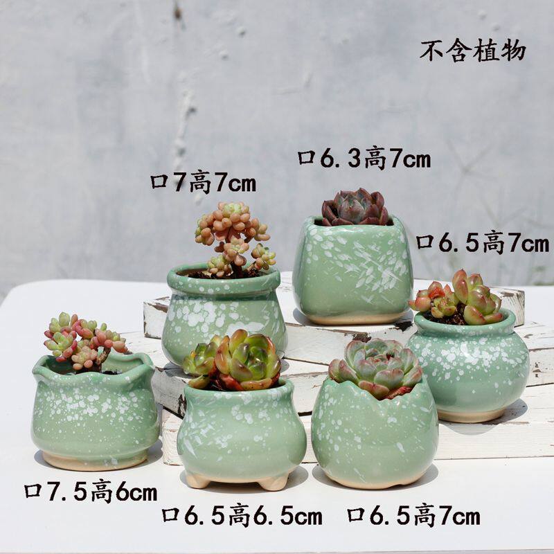 新疆包邮陶瓷花盆老桩盆