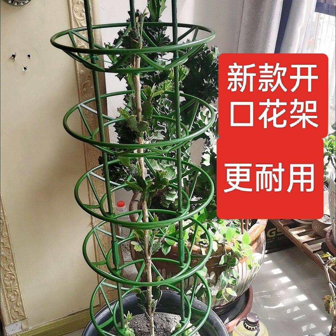 新疆包邮蟹爪兰花架家用