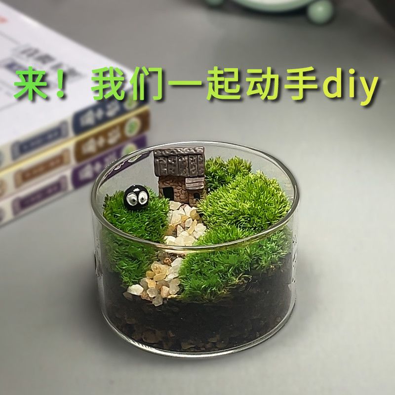 新疆包邮苔藓微景观生态