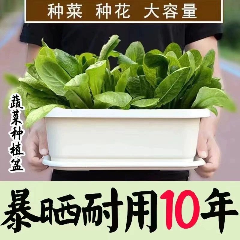 特厚种菜盆阳台长方形塑料盆