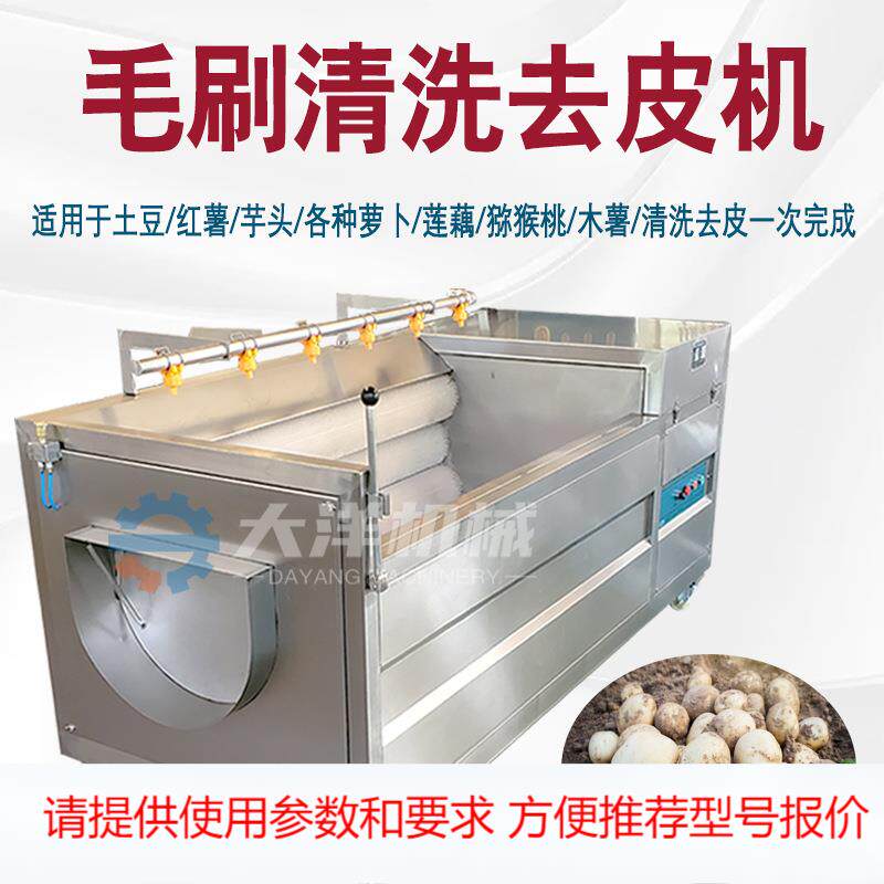 毛刷式土豆脱皮机新型芋头清洗去皮设备猕猴桃红薯磨皮清洗机器