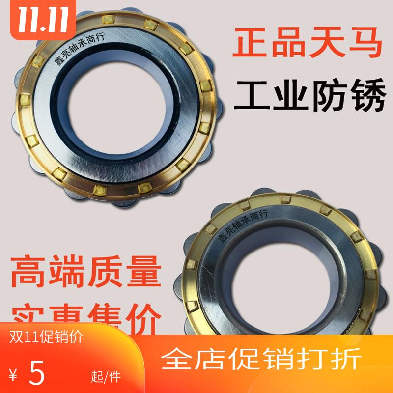 TMB天马减速机偏心轴承RN205 206 204 307 309 207 312 219 222M