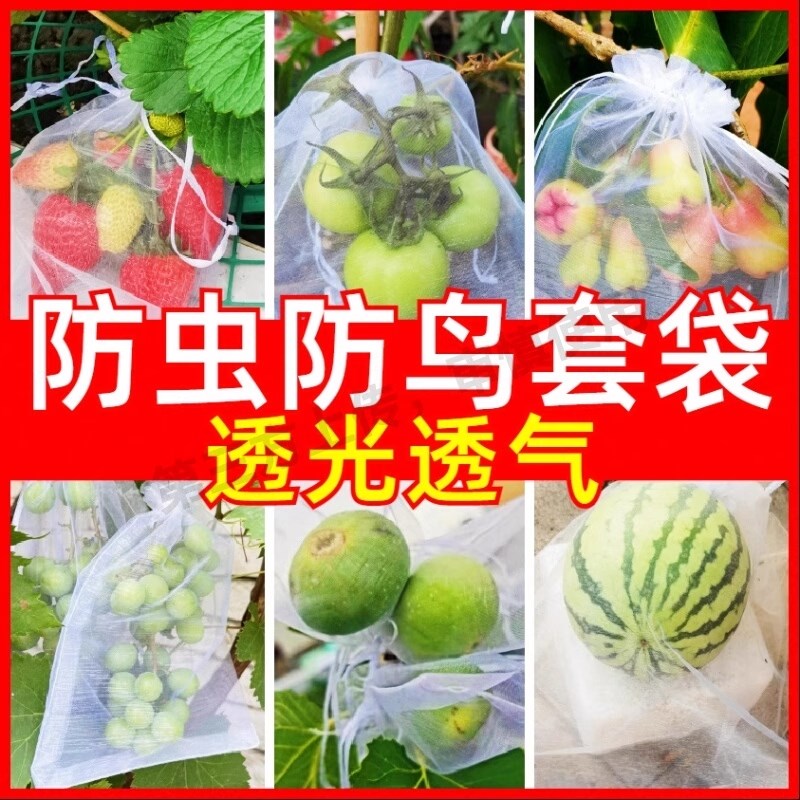 热销植物防虫网袋透气尼龙网袋育种袋草莓葡萄果蔬防果蝇防鸟防虫