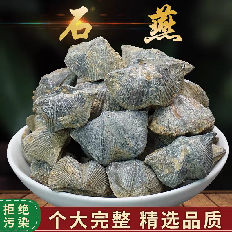 石燕中药材正品500克石燕化石标本矿石中药材店铺大全包邮