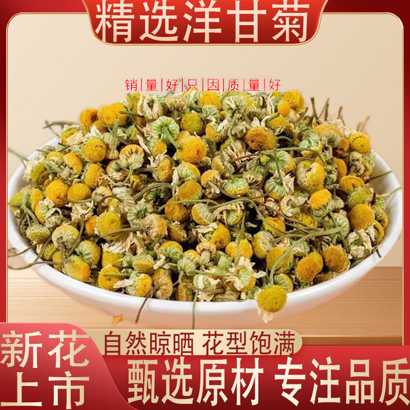 洋甘菊中药材250g精选 正宗 无硫 干花茶 洋甘菊粉花蕾 泡茶泡水