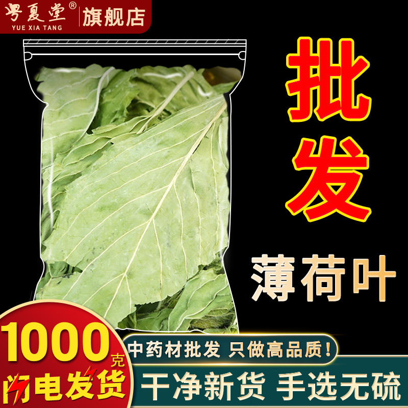 安国中药材市场批 发薄荷叶 新鲜干货薄荷梗薄何茶泡水500克包邮