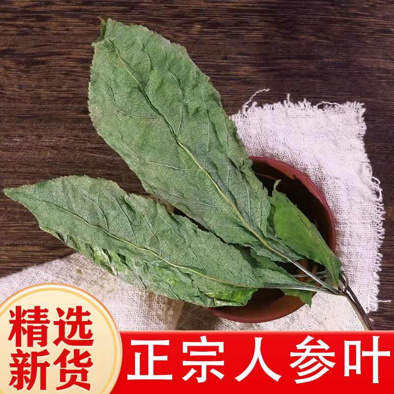 人参叶中药材500g人参茎叶散装特级野生山参叶移山参正品药用参叶