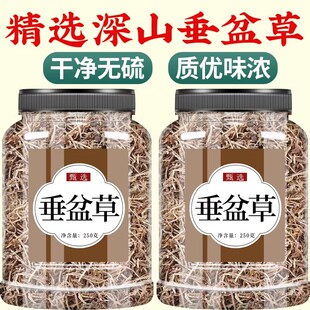 垂盆草中药材正品官方旗舰店药用500g中药泡水喝的功效与作用批发