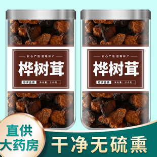 桦树茸俄罗斯进口旗舰店正品长白山野生华树茸的功效和作用泡酒茶