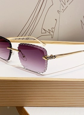 欧洲站高质量新品墨镜轻奢高级感豹子头镜腿太阳镜旅行度假防晒眼