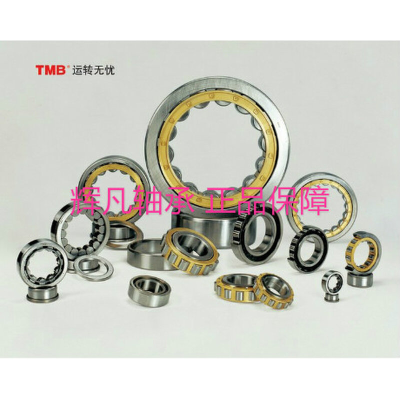轴承 rn309 em 圆柱滚子轴承 502309h 偏心轴承