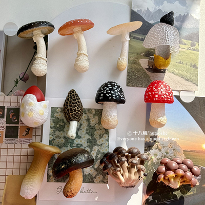 云南仿真菌菇冰箱贴蘑菇冰箱贴磁吸装饰贴创意家居装饰品磁性贴