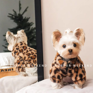 约克夏专用衣服小狗狗马尔济斯冬季冬天款保暖两脚棉服棉袄小体犬